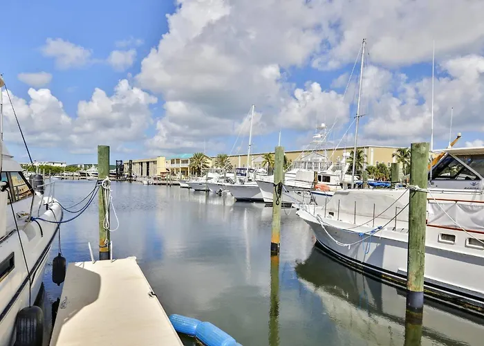 Lavender Jungle By Avantstay Great Location W Patio Shared Pool Week Long Stays Only