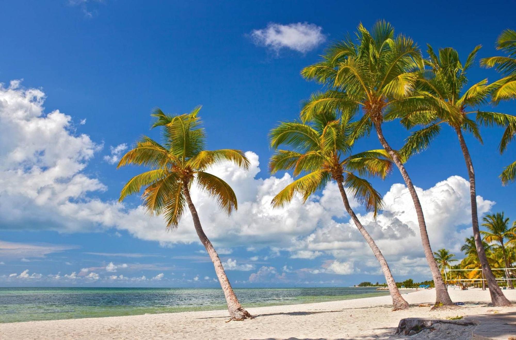 Сasa de vacaciones Lavender Jungle By Avantstay Great Location W Patio Shared Pool Week Long Only